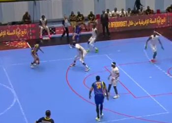Élim Afrobasket Angola 2025/2è fenêtre:Les léopards de la RDC  renversent les aigles du Mali, et se qualifient.