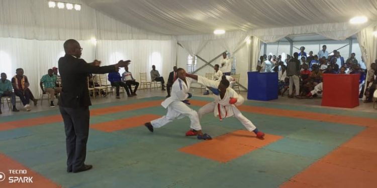 Karaté-do : Le go du championnat provincial du haut-Katanga a été lancé à Likasi par le président Oger Mbayo.