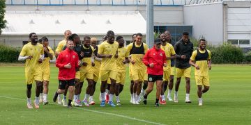 Stage des léopards à Orléans:4 joueurs liberés.