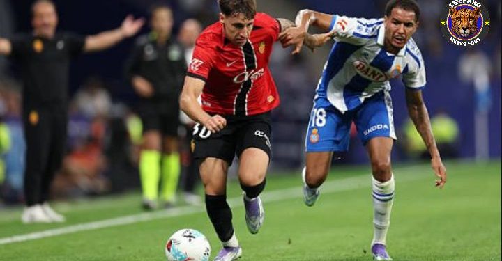 Espagne:Charles Pickel gagne en temps de jeu, son équipe empoche trois points.