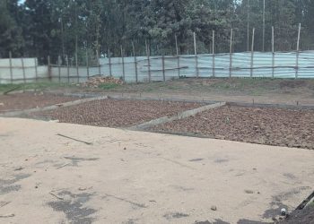 Basketball:Les travaux du nouveau terrain de Butembo à l’arrêt, un appel à l’aide lancé pour sauver le projet.