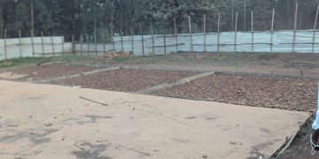 Basketball:Les travaux du nouveau terrain de Butembo à l&rsquo;arrêt, un appel à l&rsquo;aide lancé pour sauver le projet.